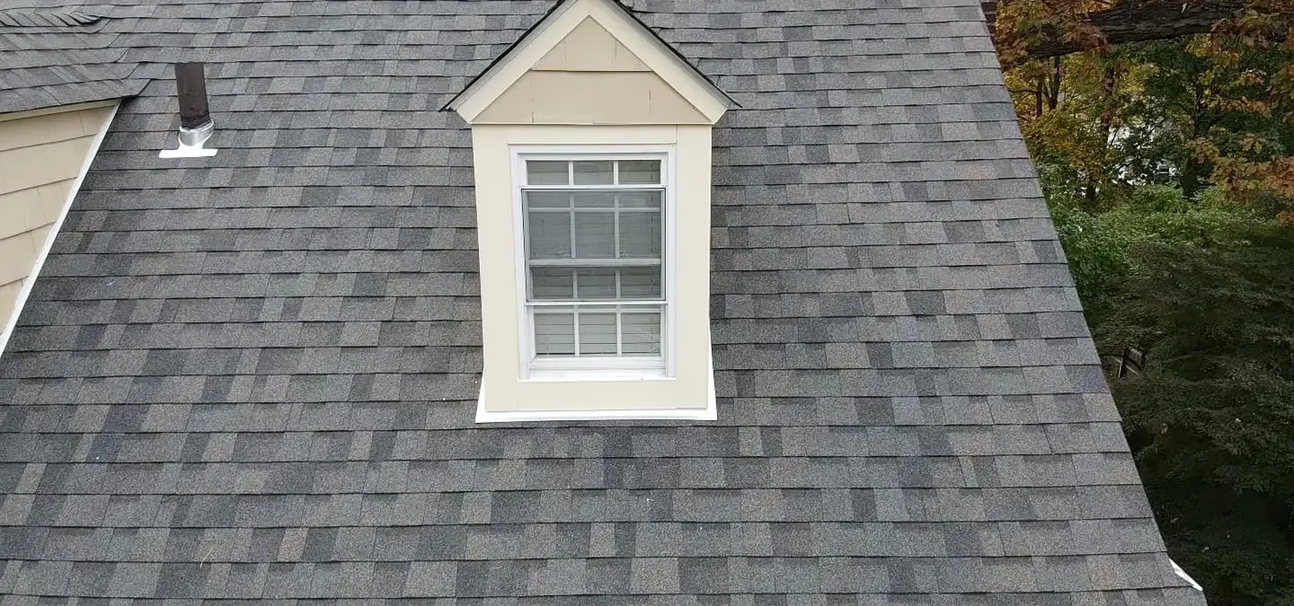 Skylight Repair